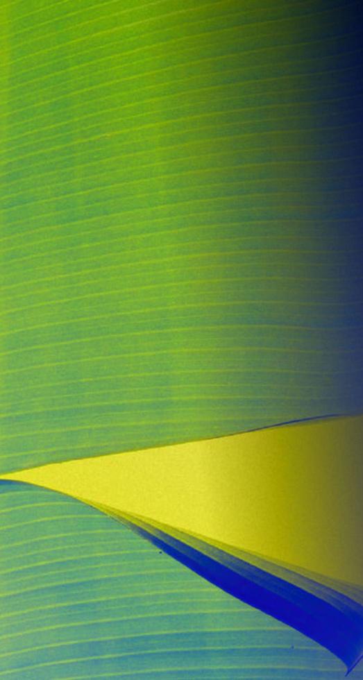 Fibrous background with gradient colors photo
