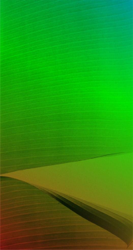 Fibrous background with gradient colors photo