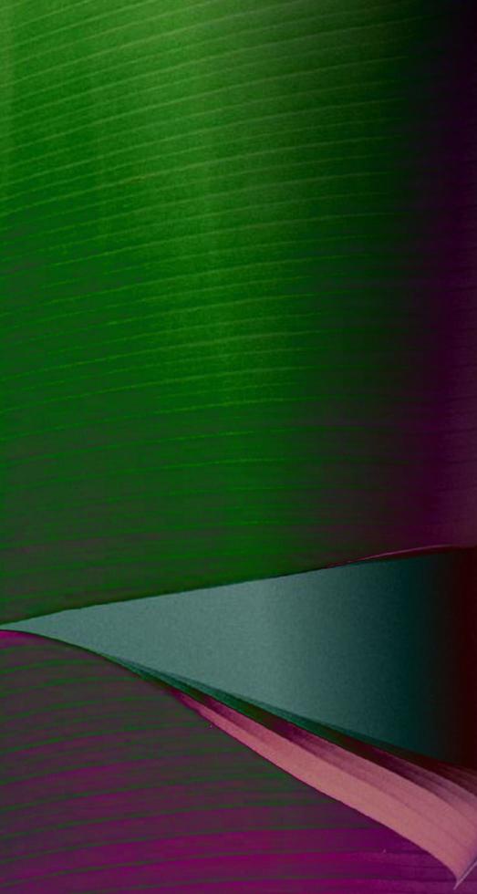 Fibrous background with gradient colors photo