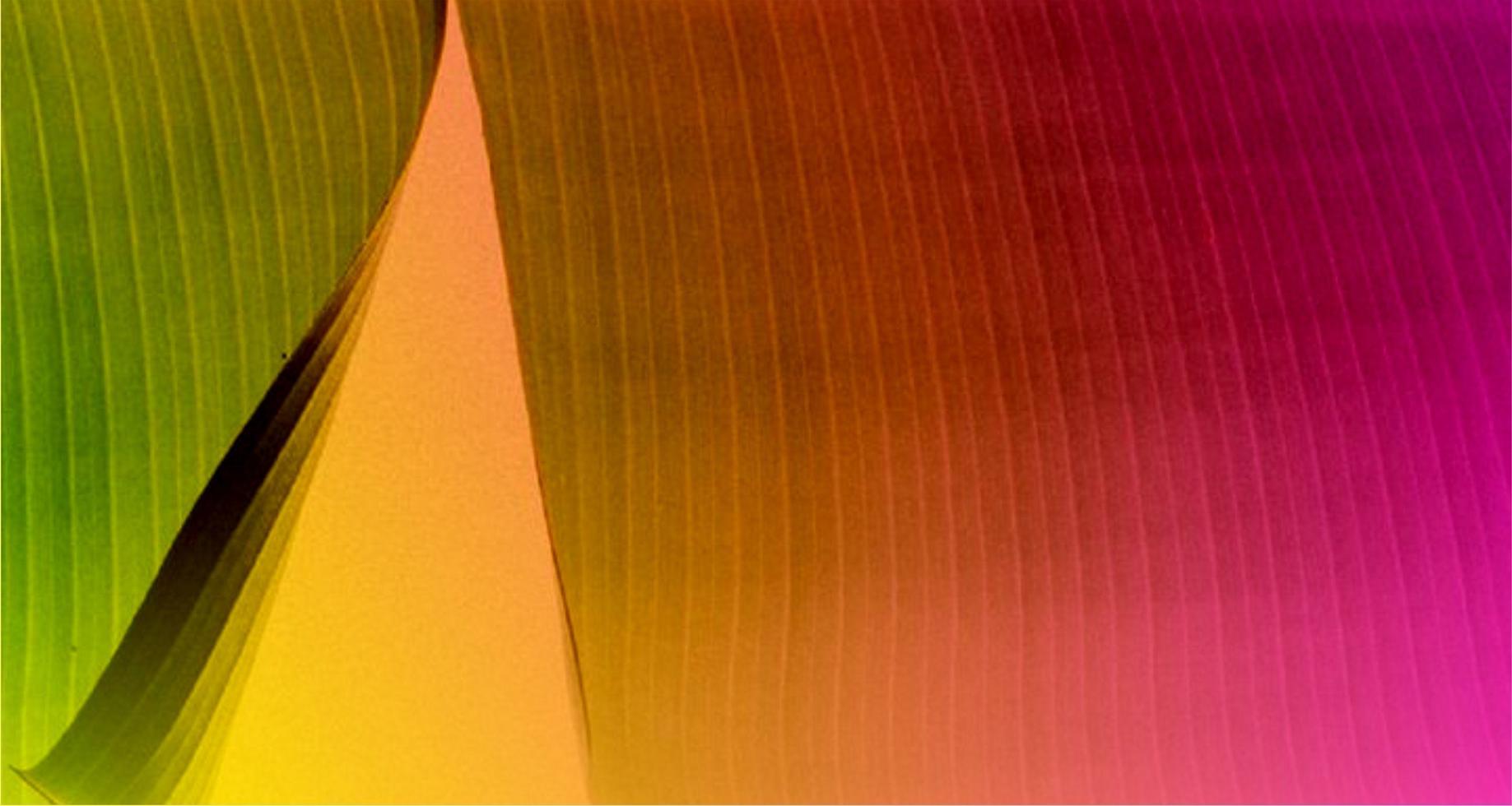 Fibrous background with gradient colors photo