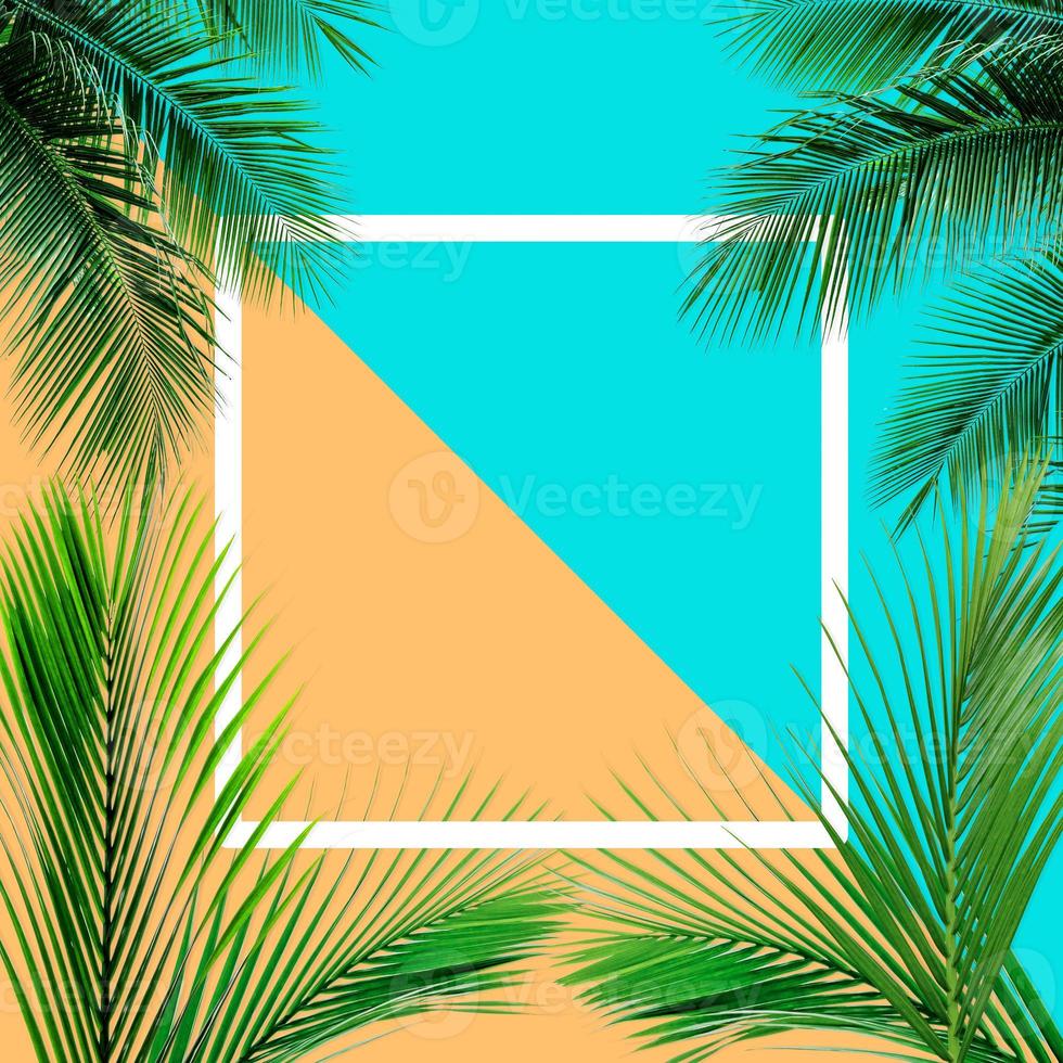 Green palm leaves pattern for nature concept,tropical leaf on orange and teal paper background photo