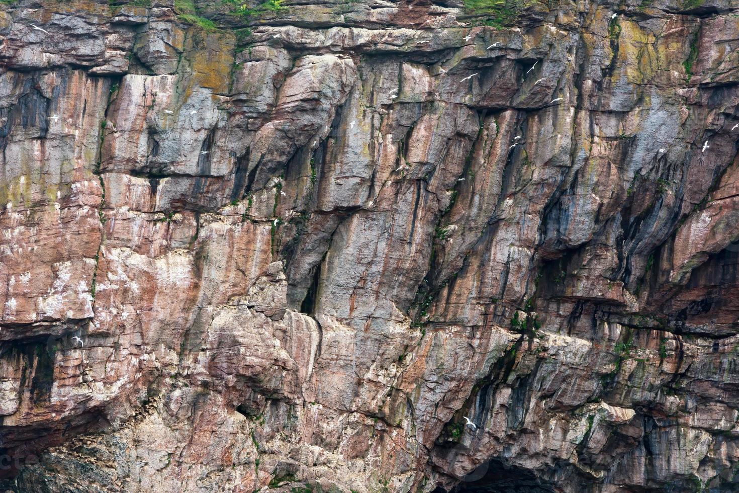 Bonaventure Island National Park photo