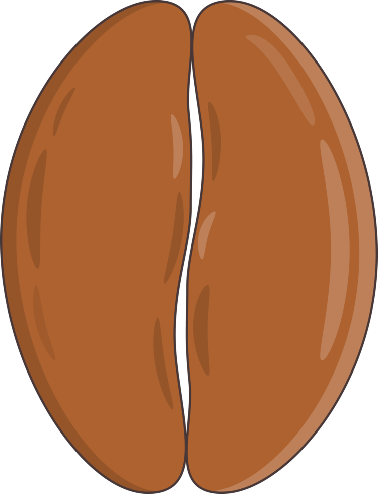 Kaffee Bohne eben png