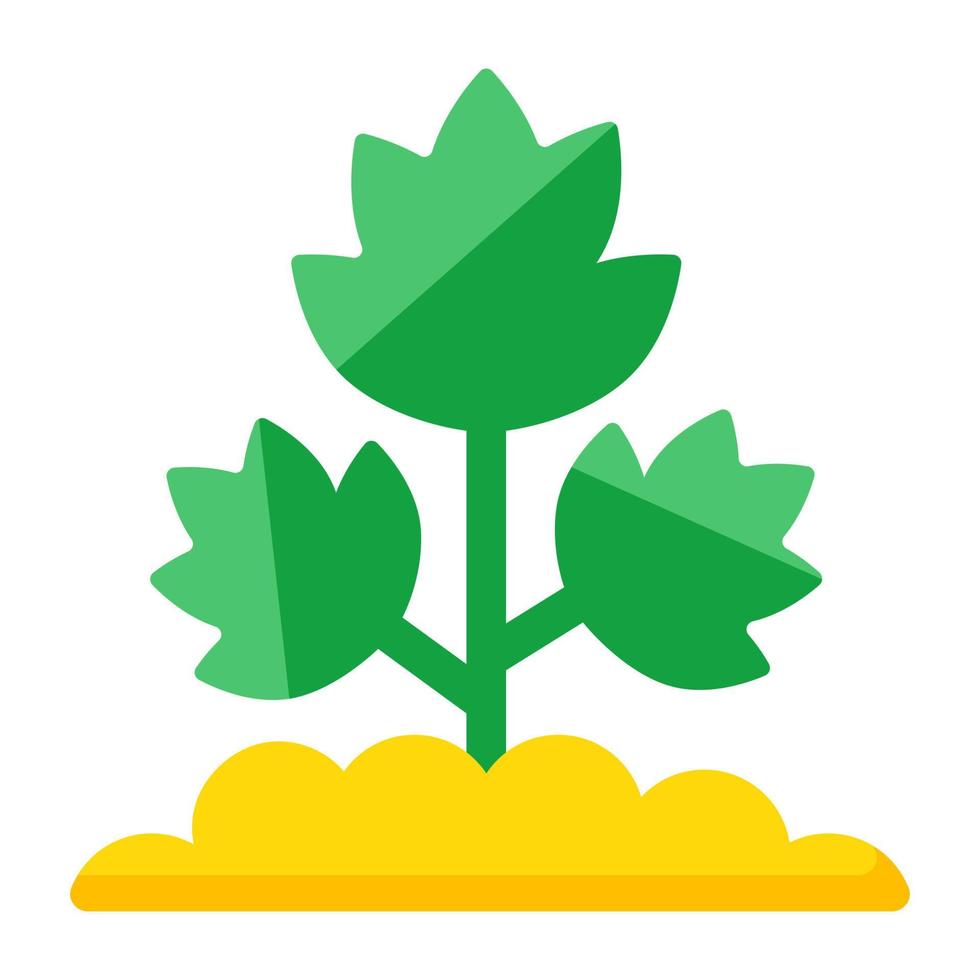 Vector design of growing plant, sprout icon