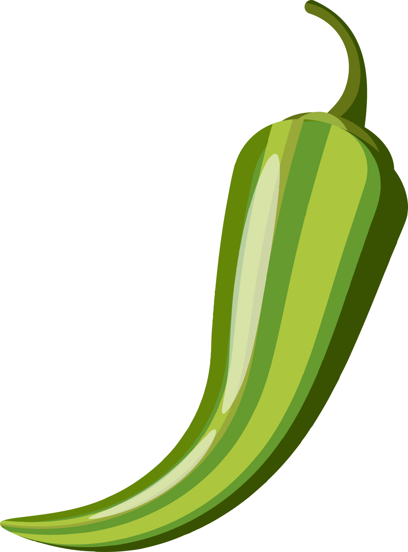 Green Spice Chili Pepper. Hot pepper sign for packing spicy food