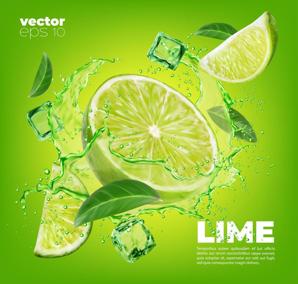 Lime fruit slice, leaves and green juice splash vector