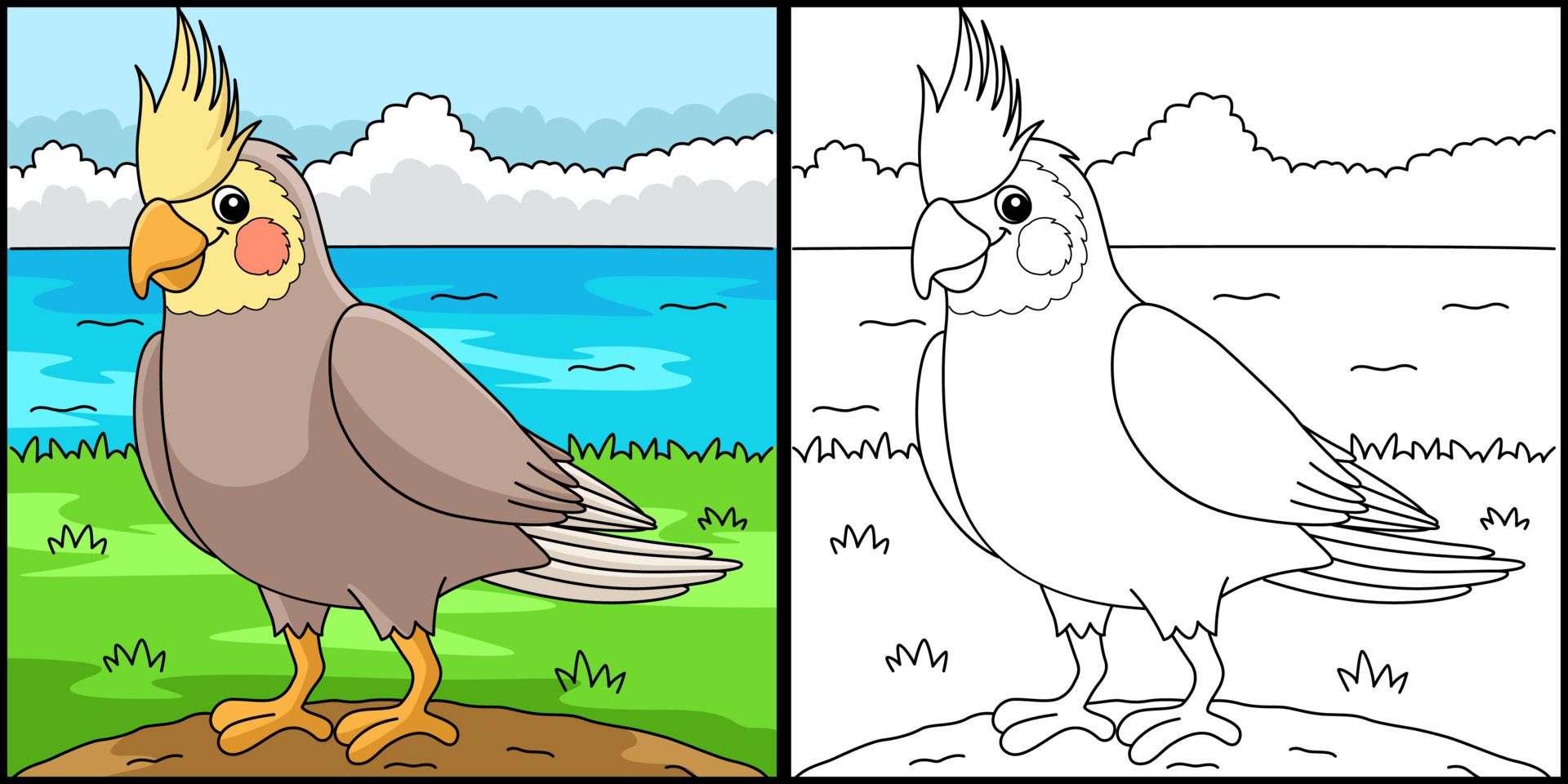 Cockatiel Animal Coloring Page Illustration 19943277 Vector Art at Vecteezy