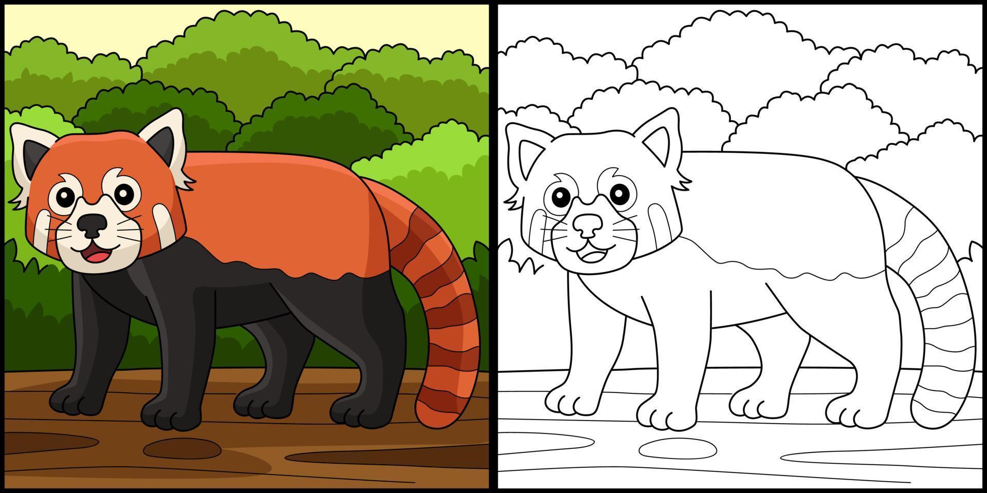 Red Panda Animal Coloring Page Illustration vector