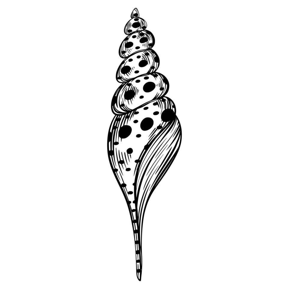 marina espiral concha o concha marina con puntos para diseño de invitación, tela, textil, etc. vector