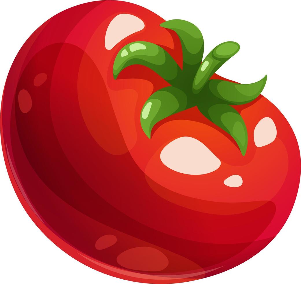 dibujos animados jugoso tomate en transparente antecedentes vector