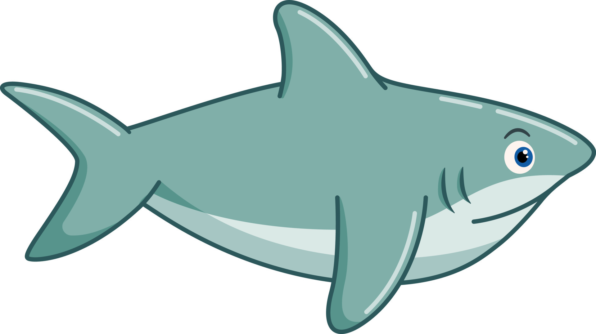 Cartoon shark on white background 19946863 Vector Art at Vecteezy Cartoon shark on white background 19946863 Vector Art at Vecteezy