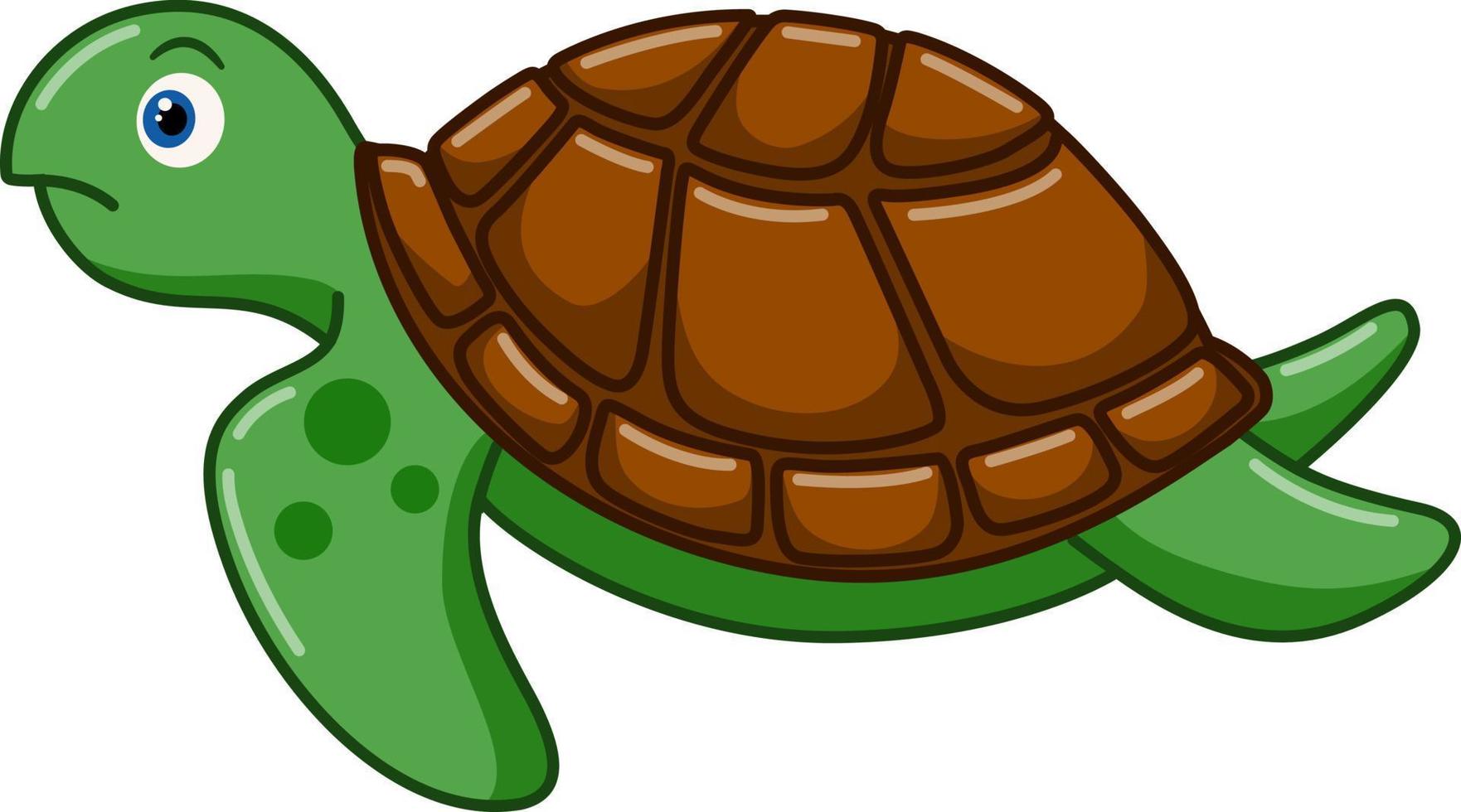 Cartoon sea turtle on white background vector