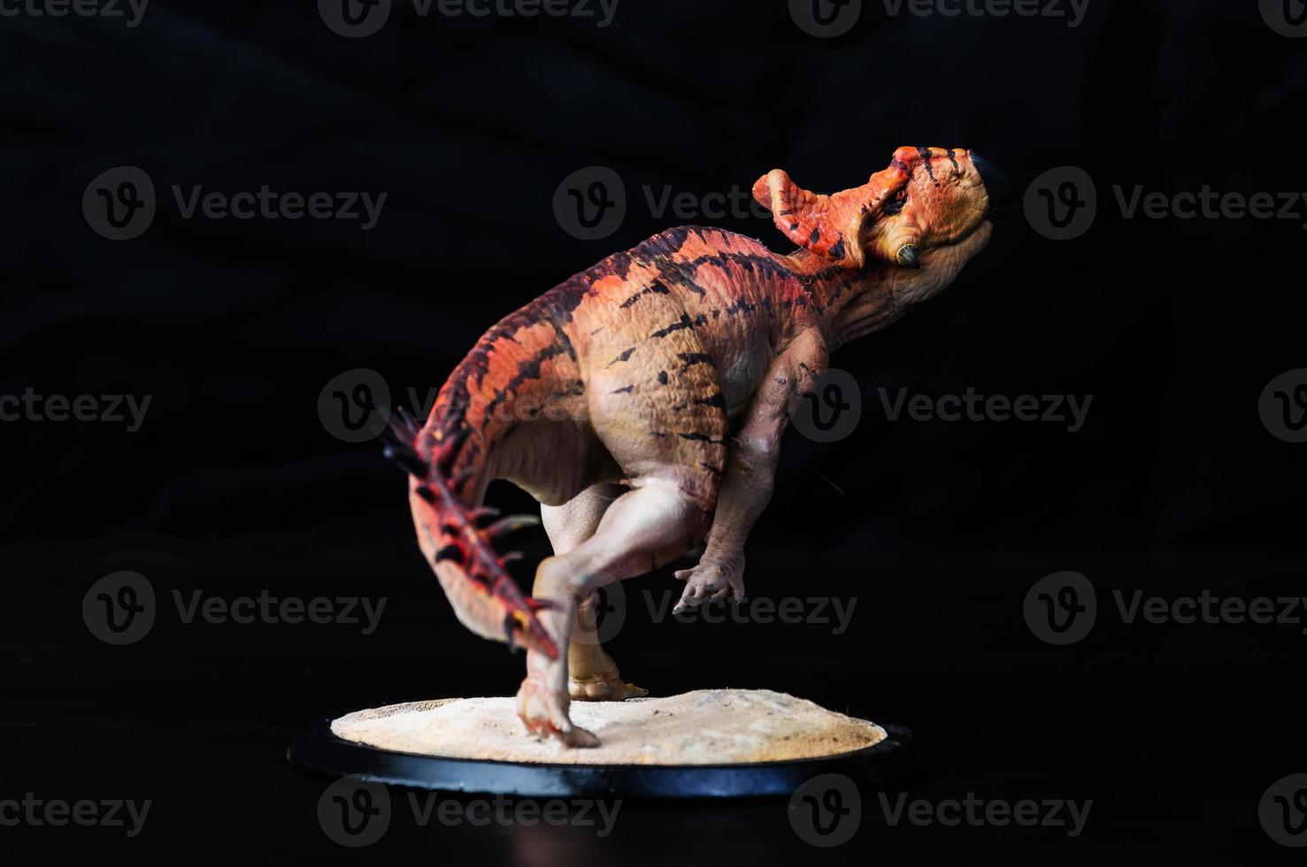 Protoceratops  , dinosaur on black background photo