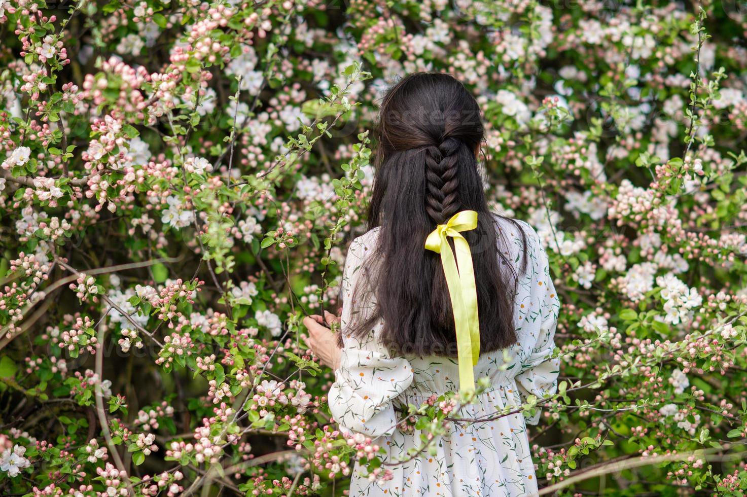 A young girl turned her back near a blooming cherry tree photo