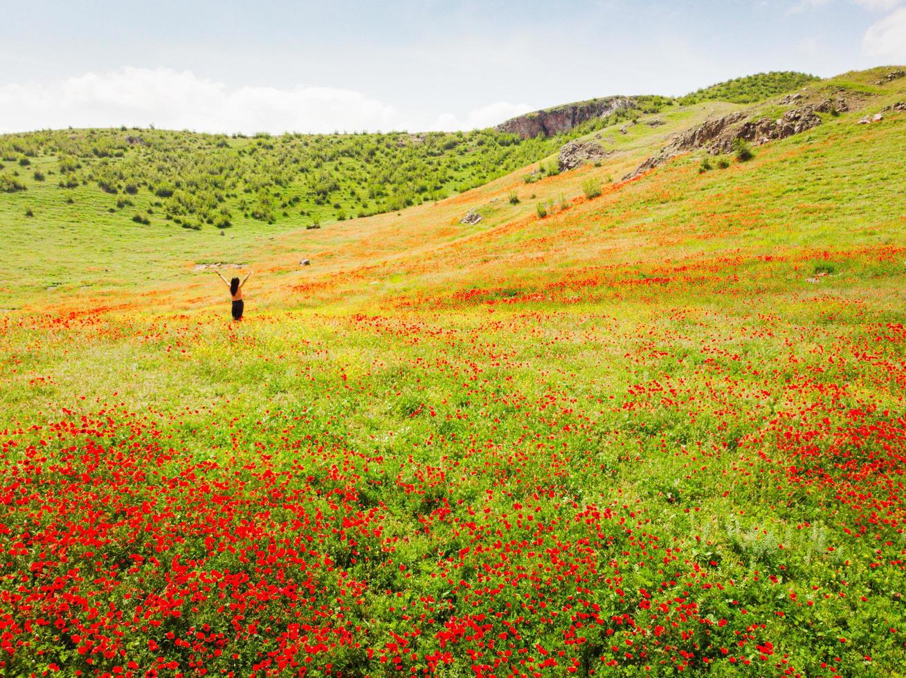 Girl in poppy field enjoy sunny spring day around blooming nature photo