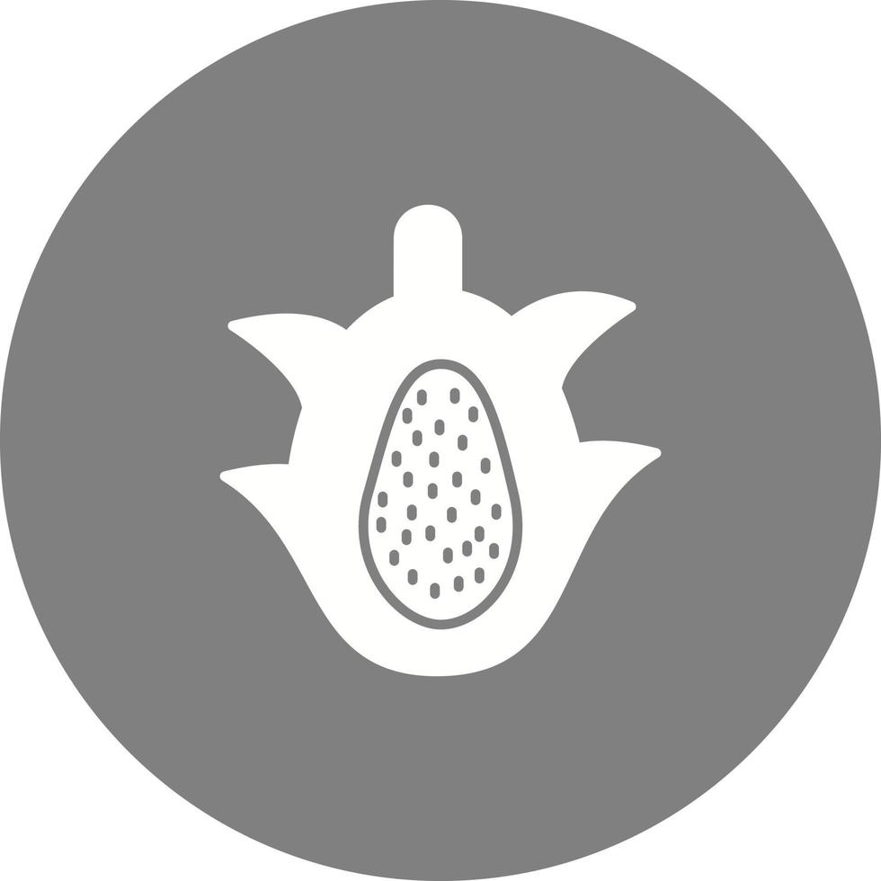 Dragon Fruit Vector Icon