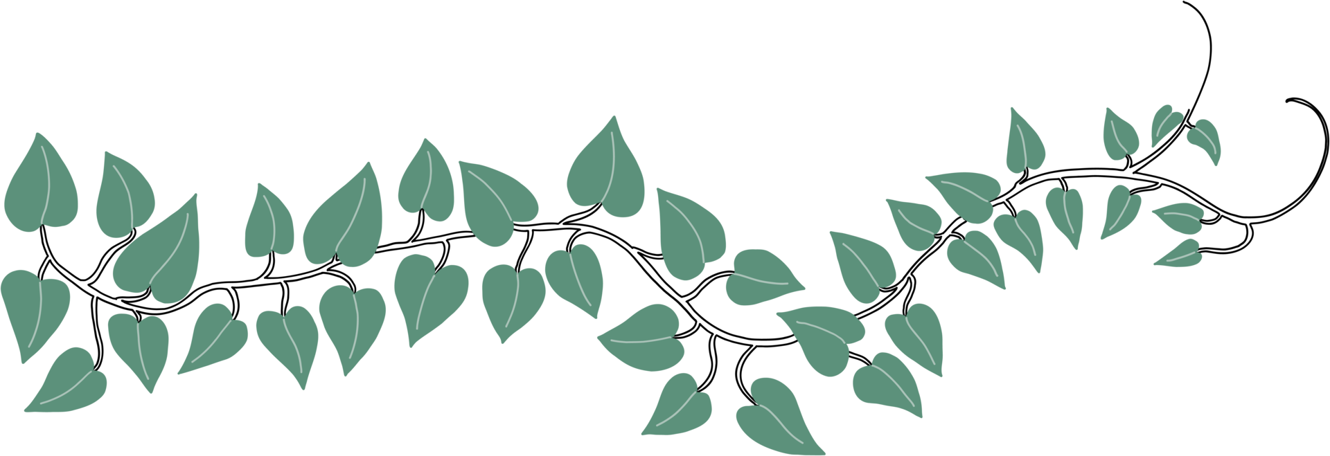 Simplicity ivy freehand drawing png