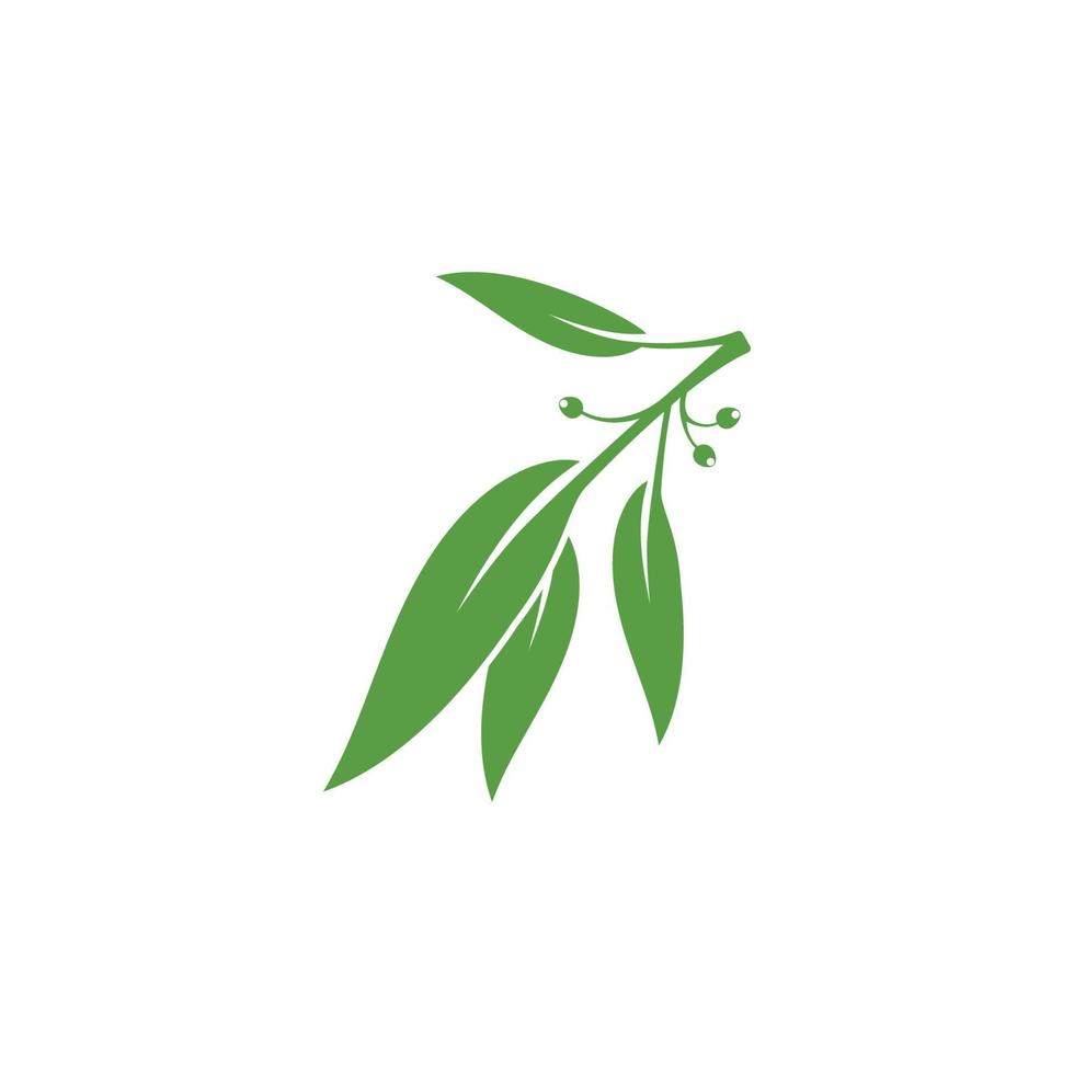 Eucalyptus leaves floral logo vector template
