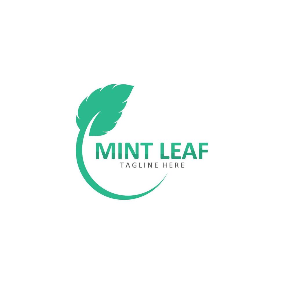 Mint leaf vector icon illustration