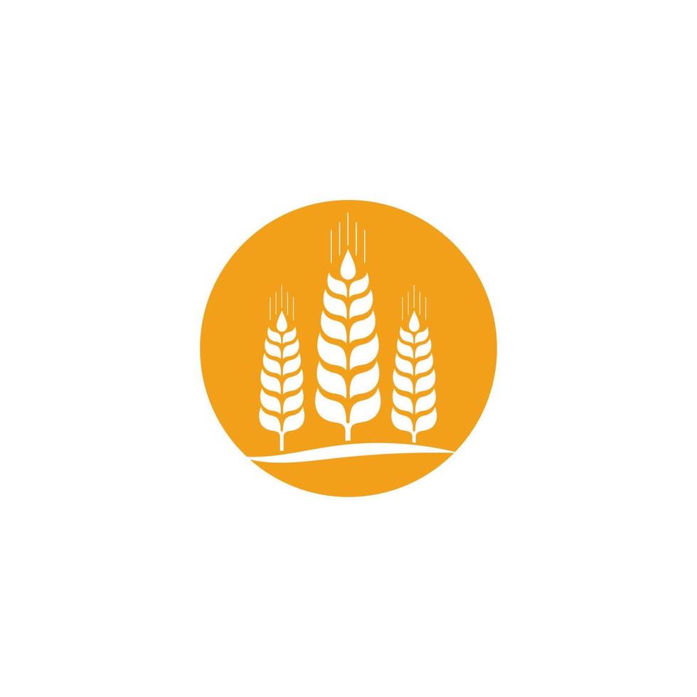 icono de vector de plantilla de logotipo de trigo de agricultura