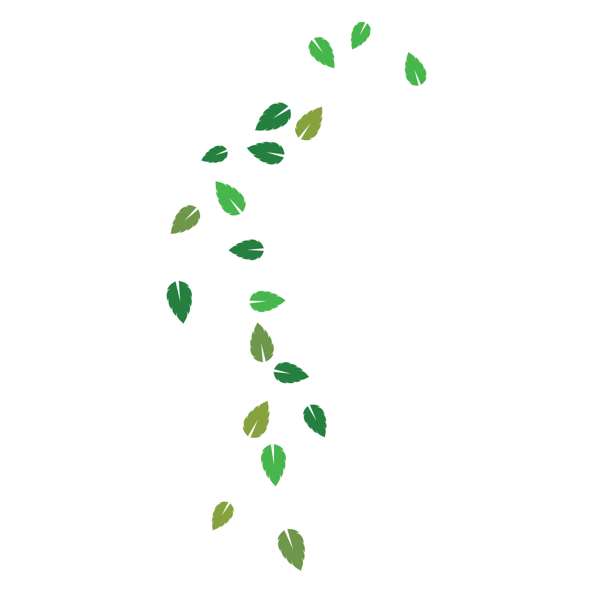 set of abstract leaf background template vector illustration 19952298