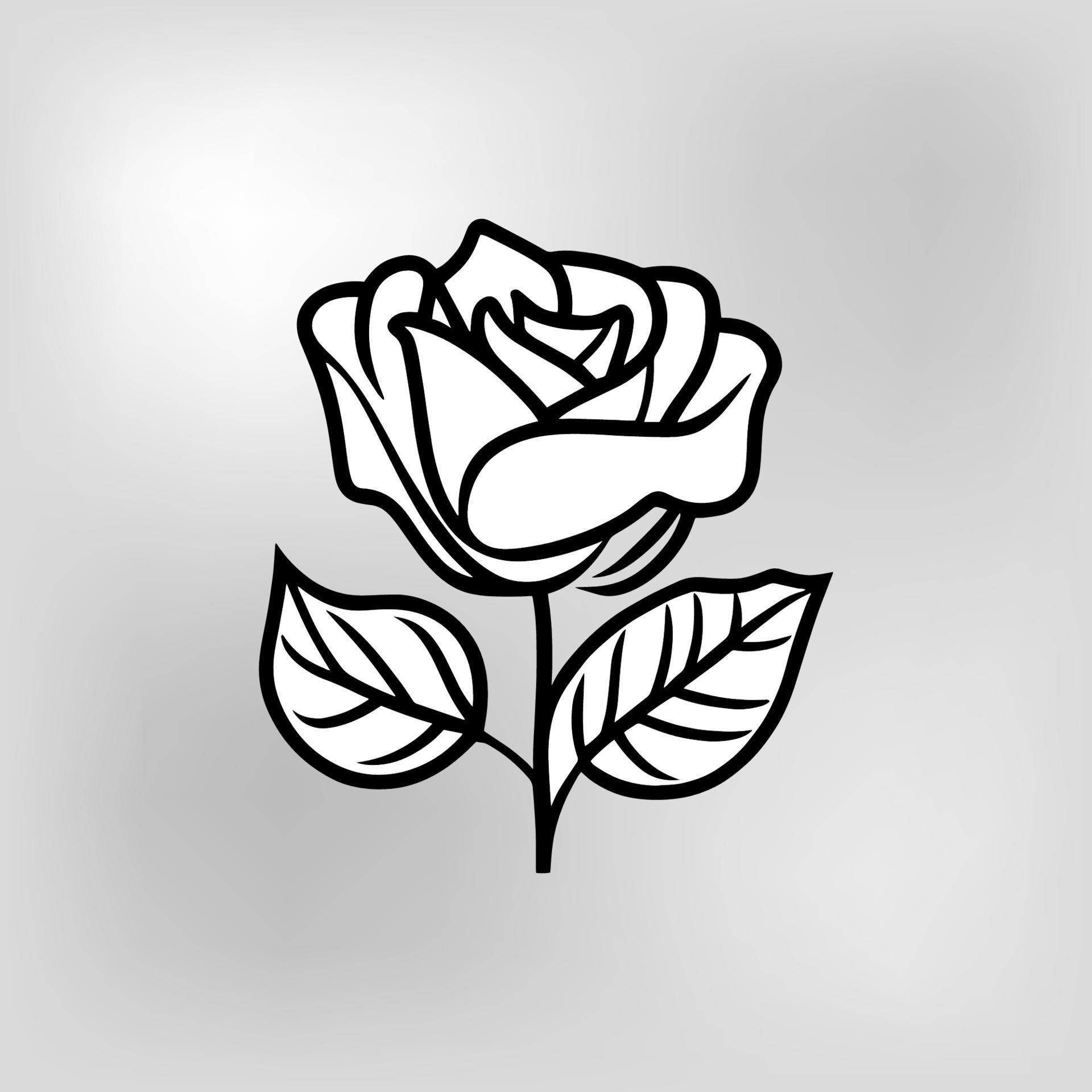 black and white rose vector 19952735 Vector Art at Vecteezy