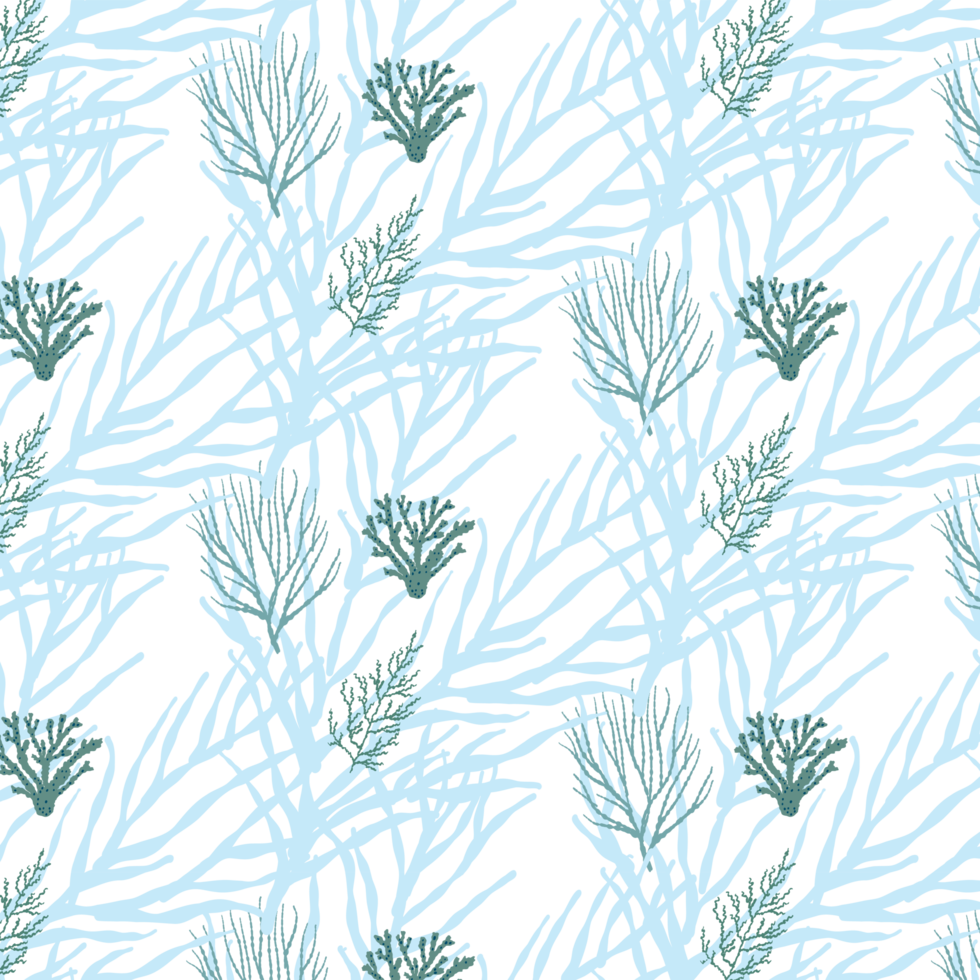 Background with seaweed. png