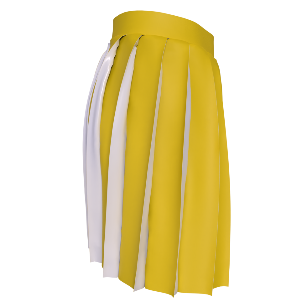 skirt isolated on transparent background png