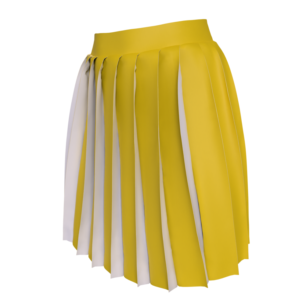 skirt isolated on transparent background png