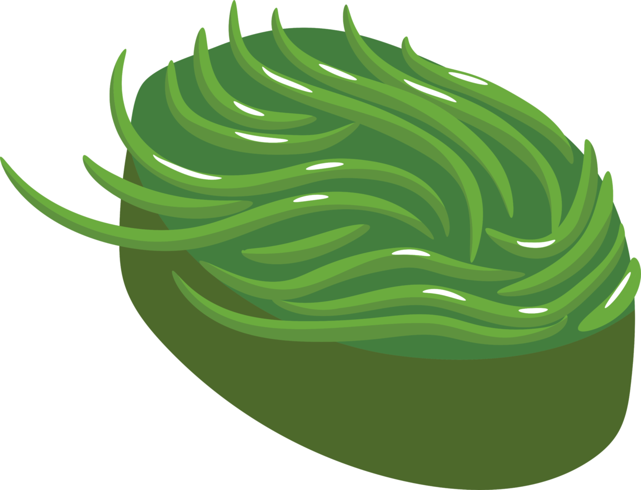 Sushi seaweed png graphic clipart design