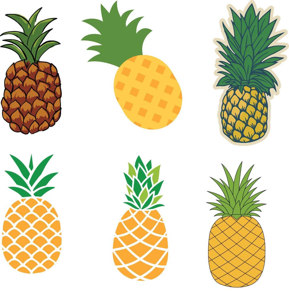 Vector set of pineapple illustrations
