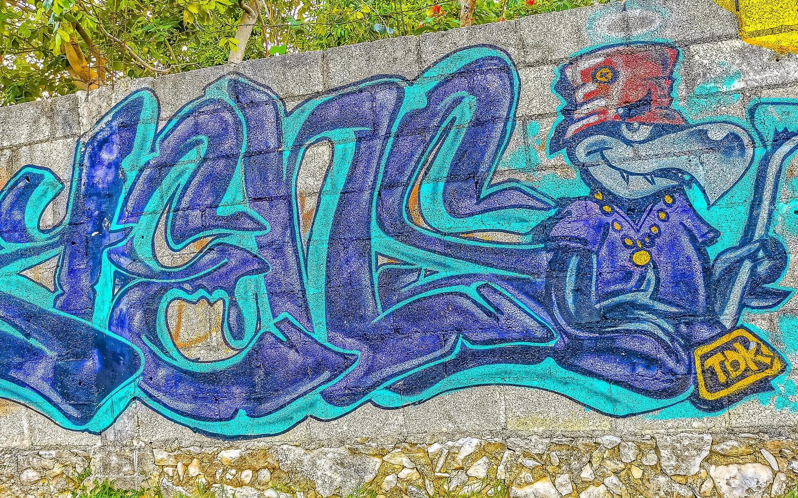 Playa del Carmen Quintana Roo Mexico 2021 Artistic walls with paintings and graffiti Playa del Carmen Mexico. photo