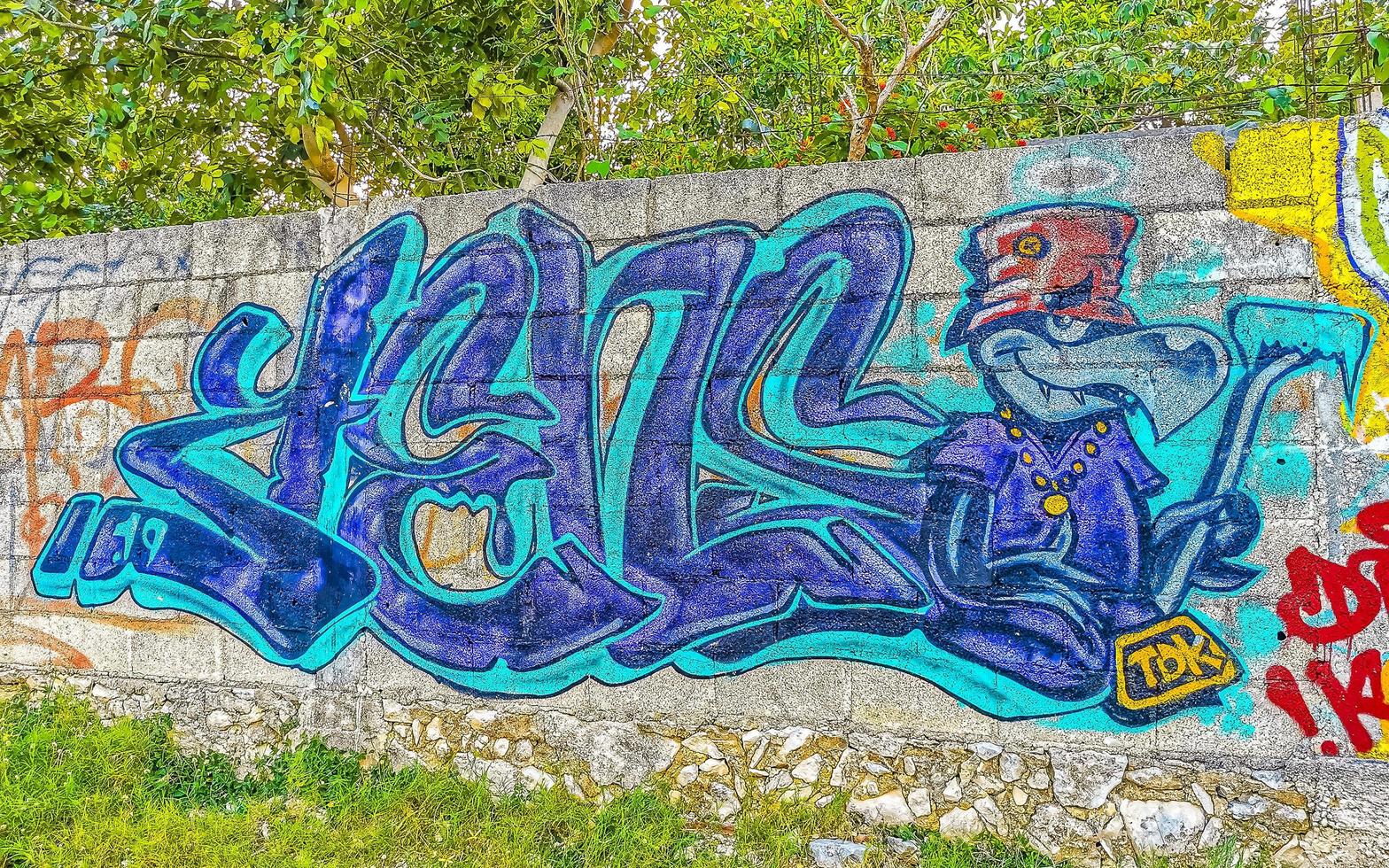 Playa del Carmen Quintana Roo Mexico 2021 Artistic walls with paintings and graffiti Playa del Carmen Mexico. photo