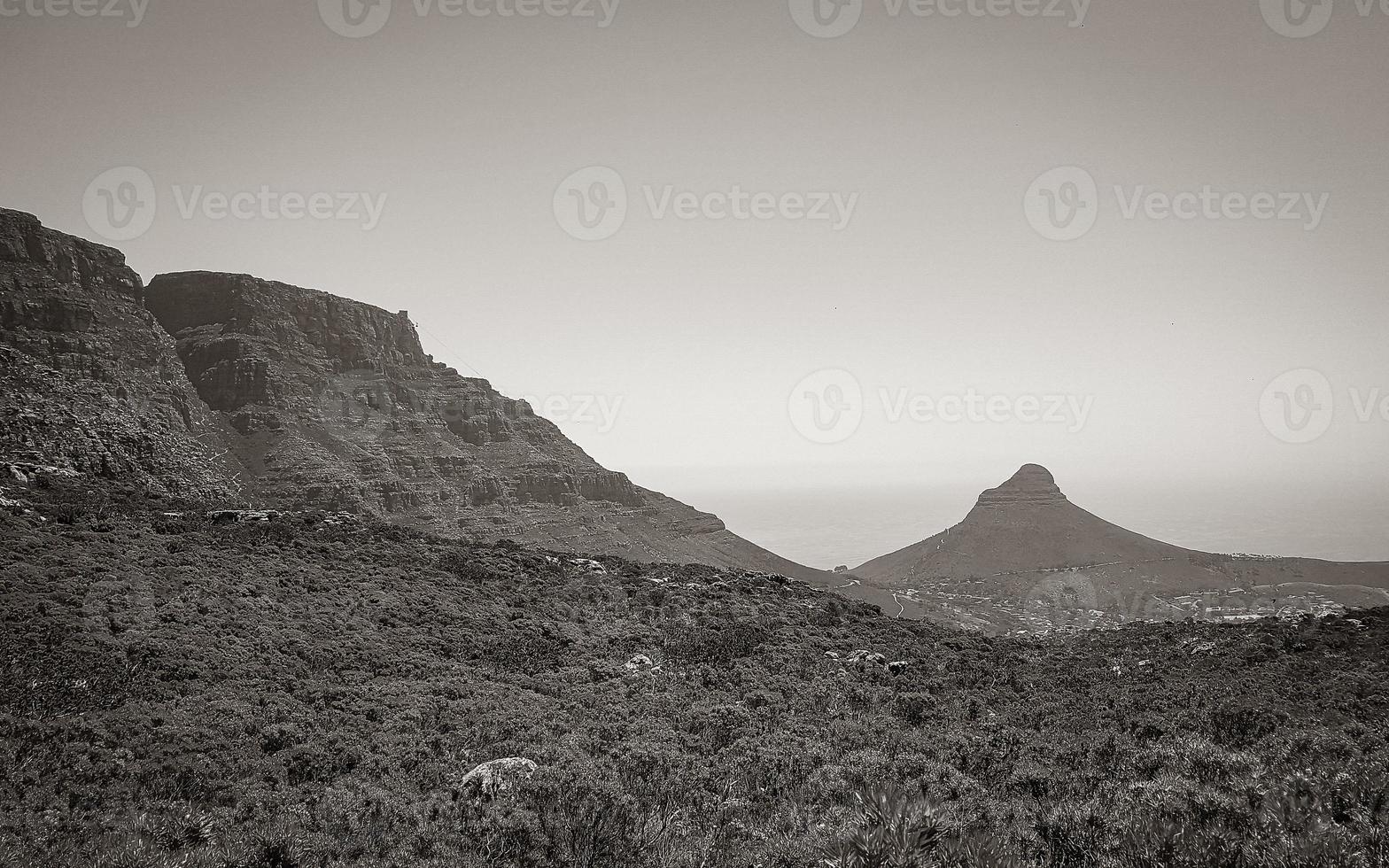 Table Mountain National Park and Lions head in Cape Town. photo