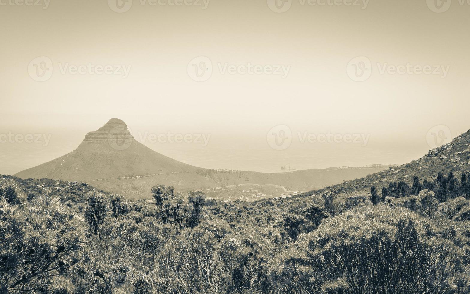 View from Table Mountain on Lion's Head Cape Town. photo