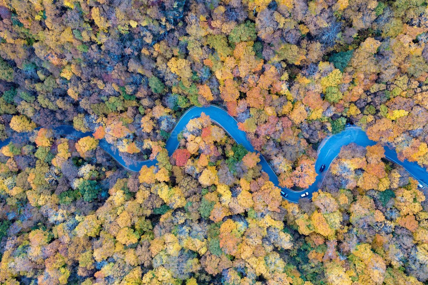 Panoramic view of peak fall foliage in Smugglers Notch, Vermont. photo