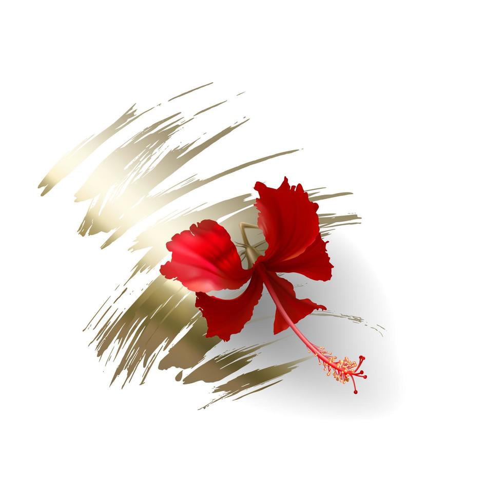 Tropical red hibiscus flower on white background vector