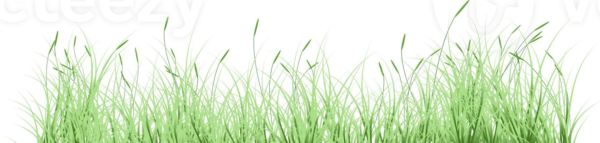 groen gras png