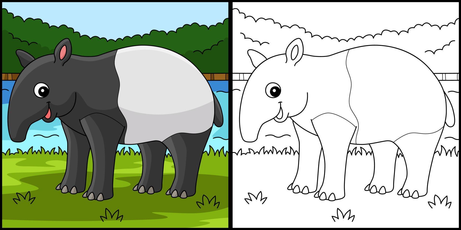 Tapir Animal Coloring Page Colored Illustration vector