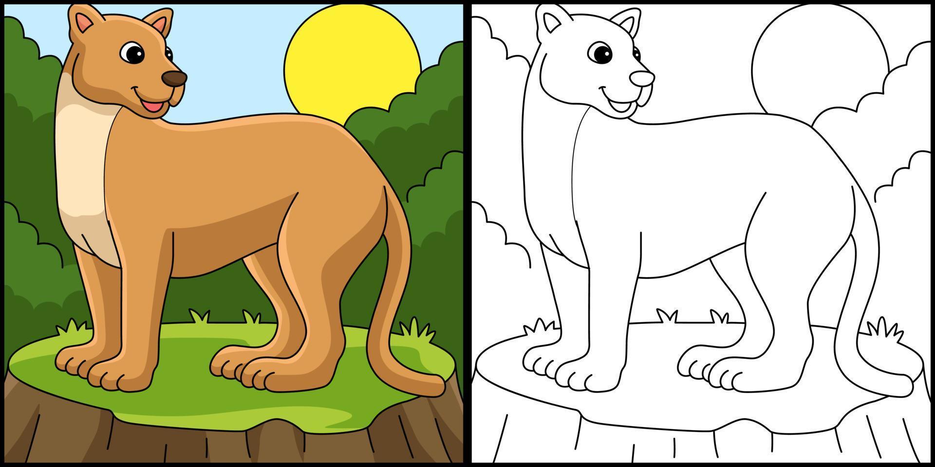 Puma Animal Coloring Page Colored Illustration vector