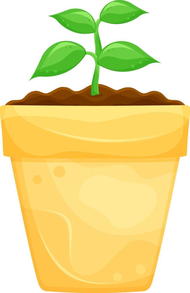 bright vector illustration of a pot with seedlings, a young plant, indoor plants and a vegetable garden