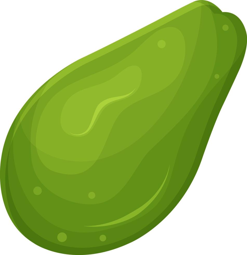 vector illustration of avocado food, healthy food, healthy breakfast, illustration for a culinary blog