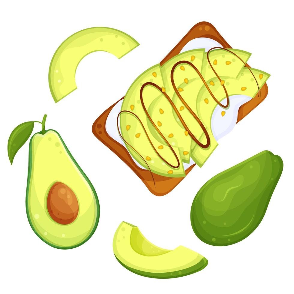 conjunto vector ilustración de aguacate alimento, sano alimento, sano desayuno, ilustración para un culinario Blog