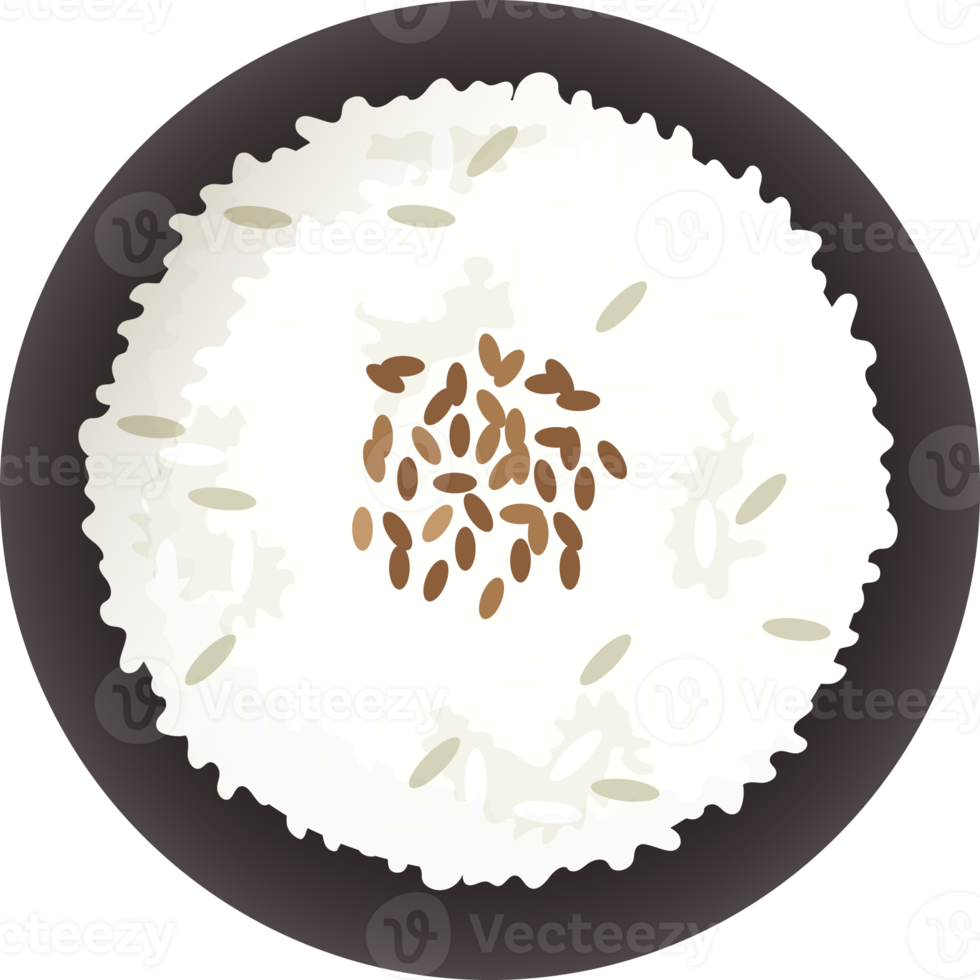 japanese rice food flat lay png