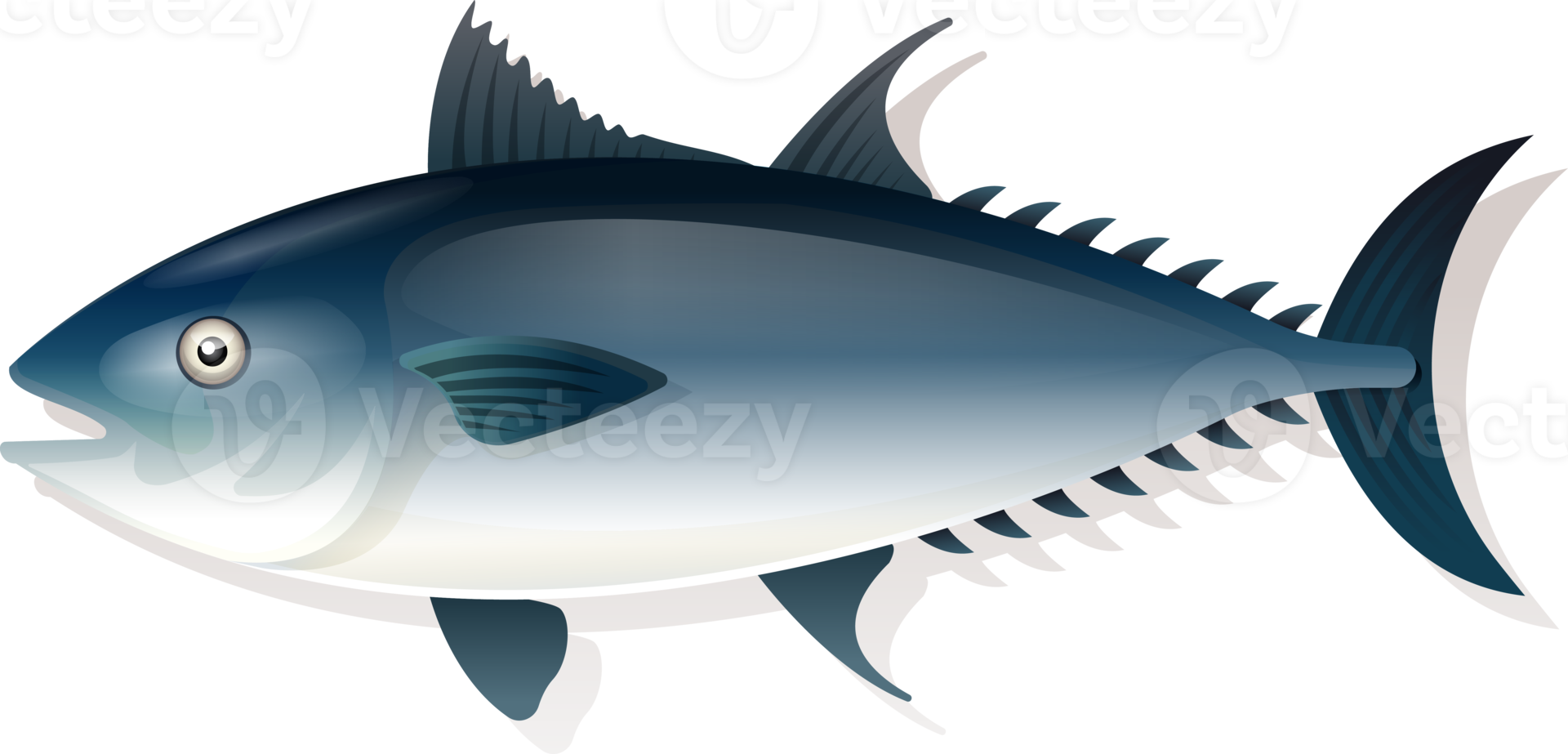 Tuna fish seafood flat lay png