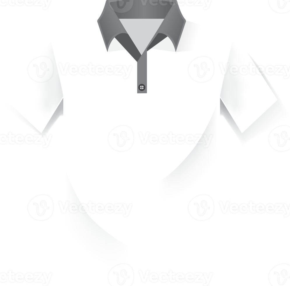 Stazionario polo camicia pacchetto modello per negozio. png