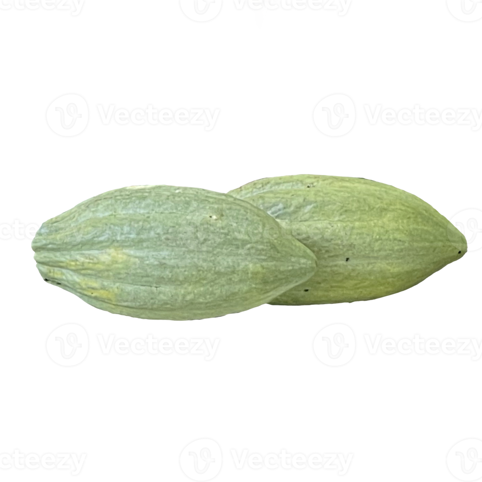 Cocoa Fruit Transparent png