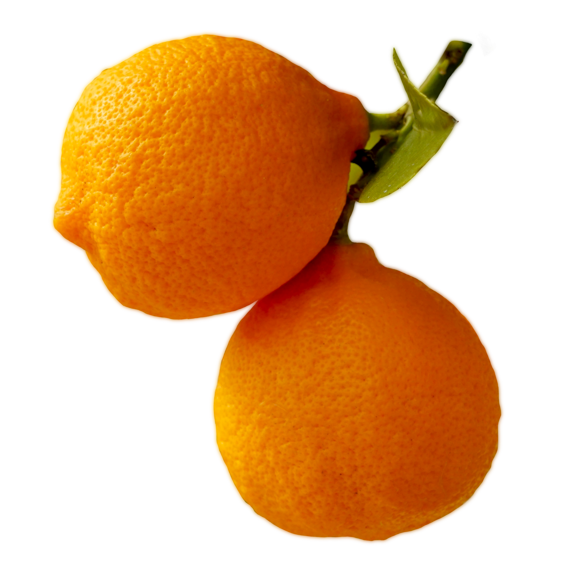 Fresh Orange Transparent 19984203 PNG