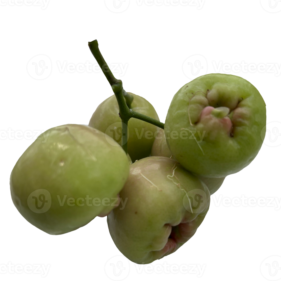 Water Apple Transparent png