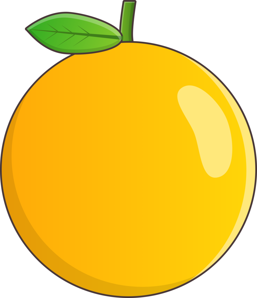 oranje fruit png